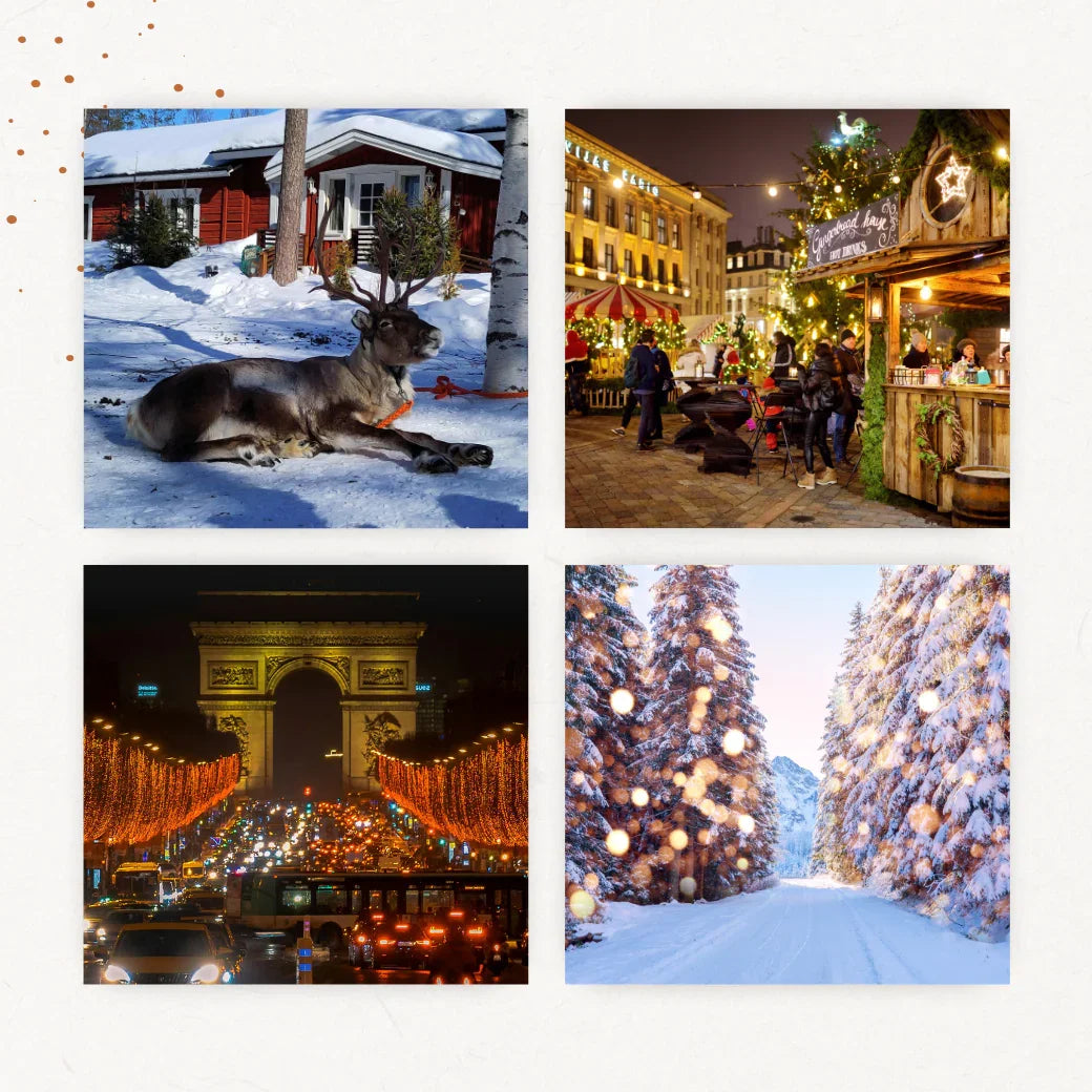 Scènes hivernales : renne enneigé, marché de Noël, Arc de Triomphe illuminé, allée de sapins décorés