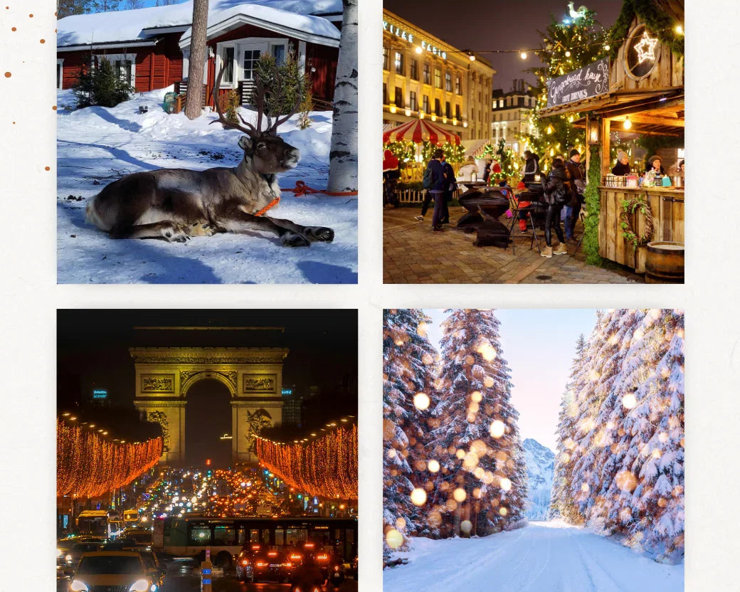 Scènes hivernales : renne enneigé, marché de Noël, Arc de Triomphe illuminé, allée de sapins décorés